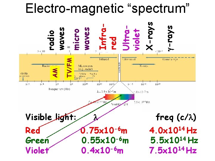 Visible light: Red Green Violet g-rays X-rays Ultraviolet Infrared micro waves TV/FM AM radio