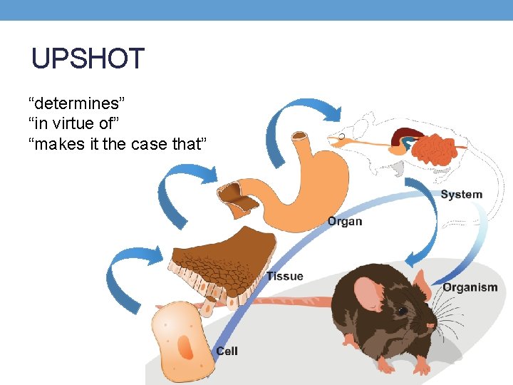 UPSHOT “determines” “in virtue of” “makes it the case that” 