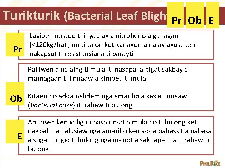 Turikturik (Bacterial Leaf Blight)Pr Ob E Pr Lagipen no adu ti inyaplay a nitroheno