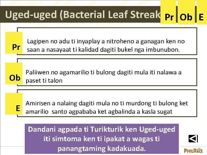 Uged-uged (Bacterial Leaf Streak) Pr Ob E Lagipen no adu ti inyaplay a nitroheno