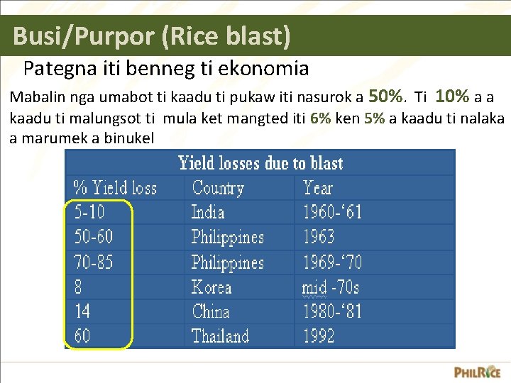 Busi/Purpor (Rice blast) Pategna iti benneg ti ekonomia Mabalin nga umabot ti kaadu ti