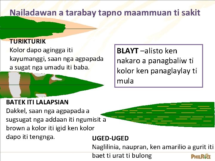 Nailadawan a tarabay tapno maammuan ti sakit TURIK Kolor dapo agingga iti kayumanggi, saan