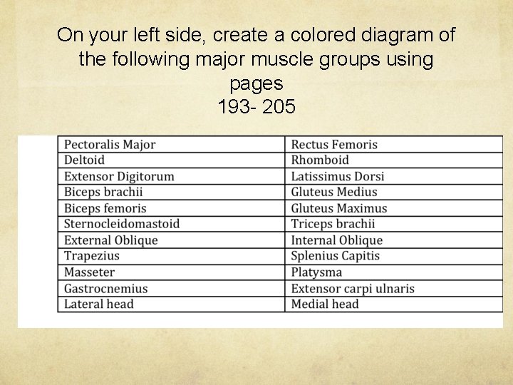 On your left side, create a colored diagram of the following major muscle groups