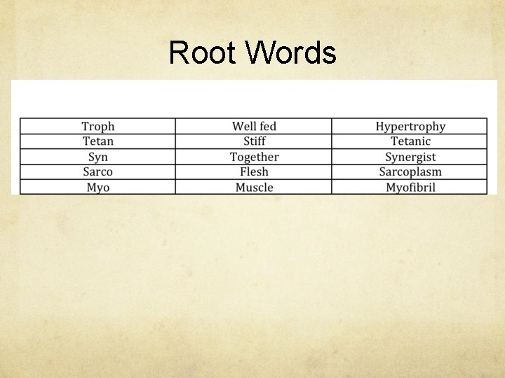 Root Words 