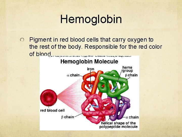 Hemoglobin Pigment in red blood cells that carry oxygen to the rest of the