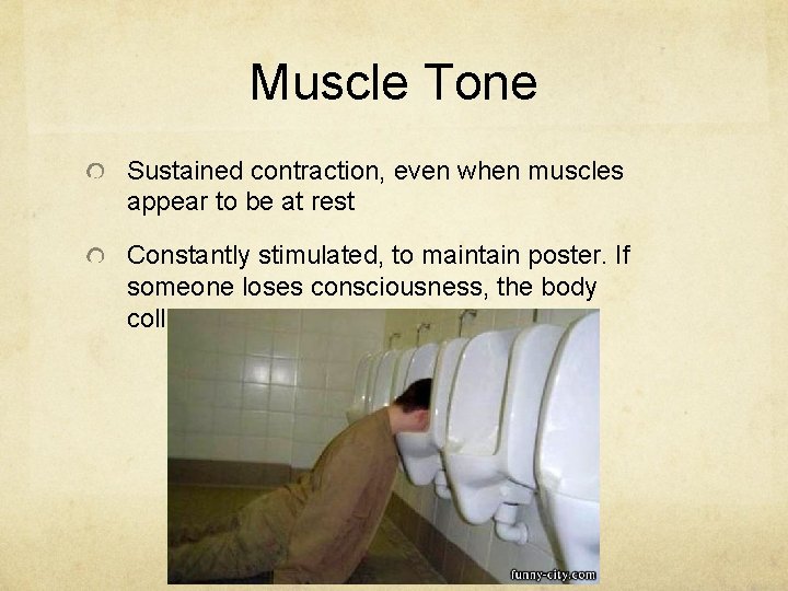 Muscle Tone Sustained contraction, even when muscles appear to be at rest Constantly stimulated,