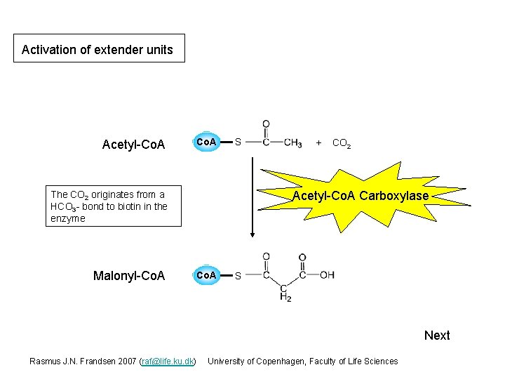 Activation of extender units Acetyl-Co. A S CO 2 Acetyl-Co. A Carboxylase The CO