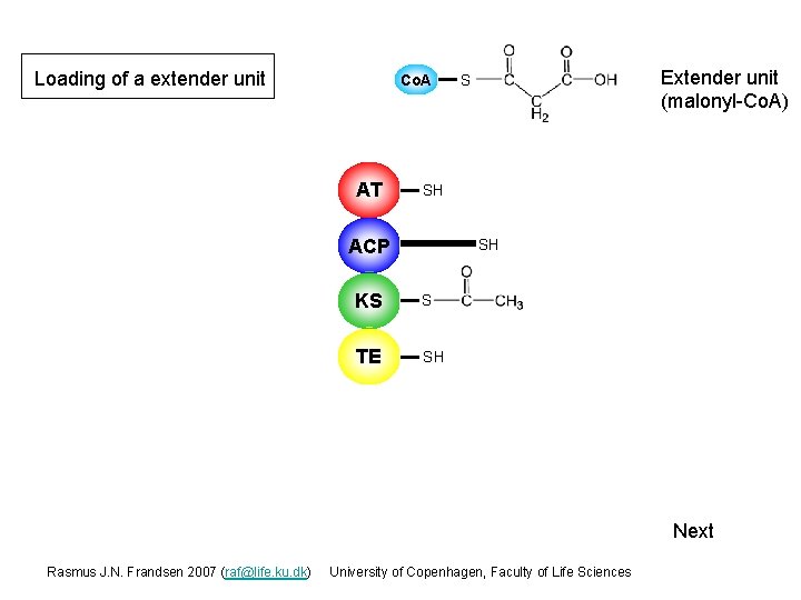 Loading of a extender unit Co. A AT Extender unit (malonyl-Co. A) S SH