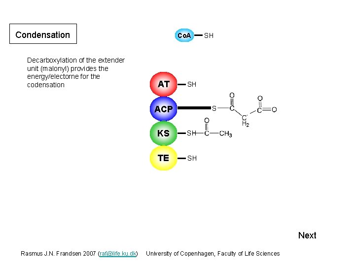 Condensation Decarboxylation of the extender unit (malonyl) provides the energy/electorne for the codensation Co.