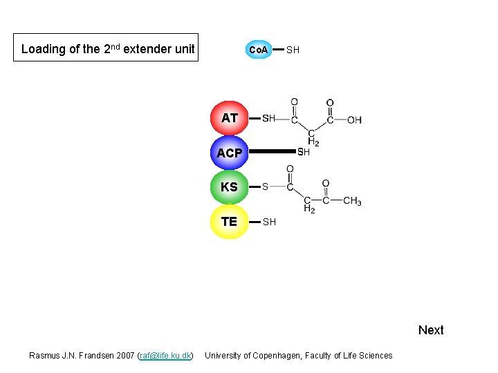 Loading of the 2 nd extender unit Co. A AT SH SH S ACP