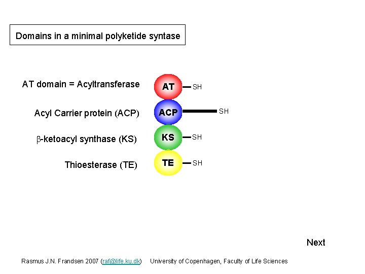 Domains in a minimal polyketide syntase AT domain = Acyltransferase AT SH Acyl Carrier