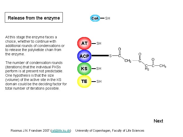 Release from the enzyme At this stage the enzyme faces a choice, whether to