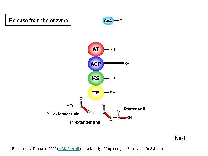Release from the enzyme Co. A AT SH ACP 2 nd S SH KS