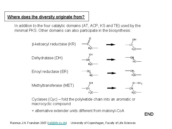 Where does the diversity originate from? In addition to the four catalytic domains (AT,