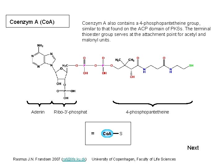 Coenzym A (Co. A) Adenin Coenzym A also contains a 4 -phosphopantetheine group, similar