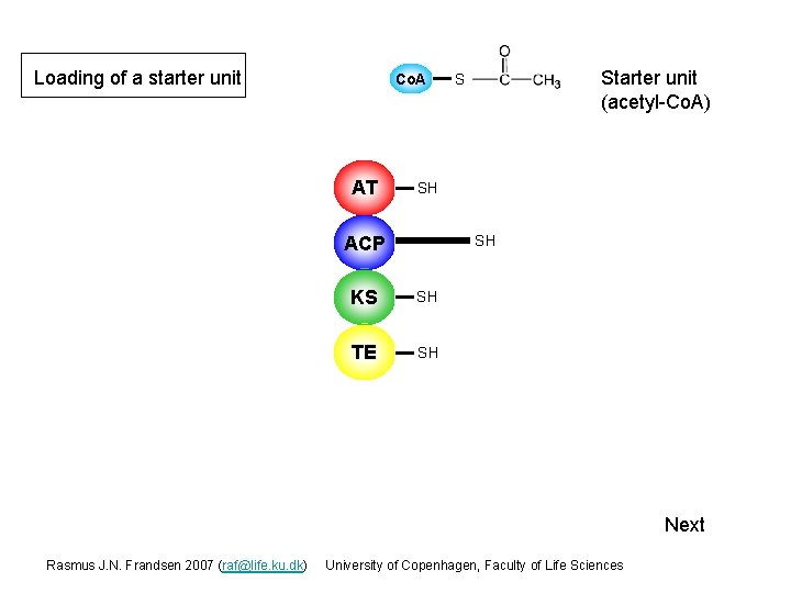 Loading of a starter unit Co. A AT Starter unit (acetyl-Co. A) S SH