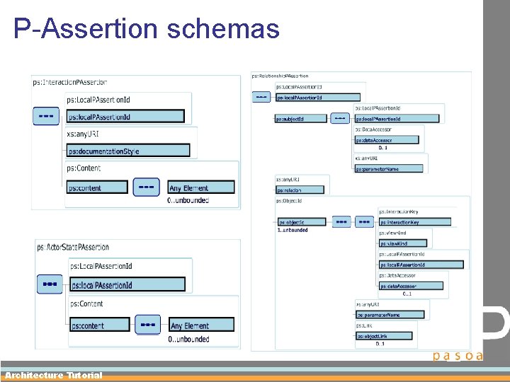 P-Assertion schemas Architecture Tutorial 