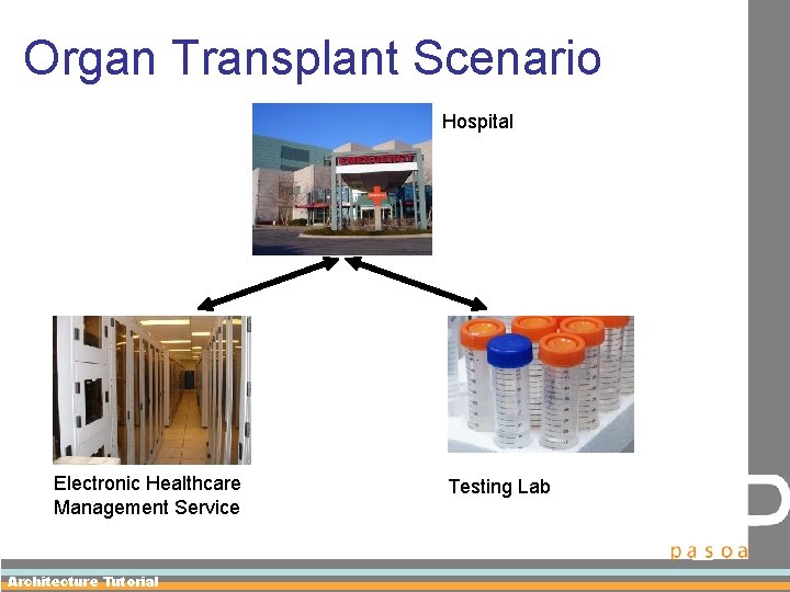 Organ Transplant Scenario Hospital Electronic Healthcare Management Service Architecture Tutorial Testing Lab 