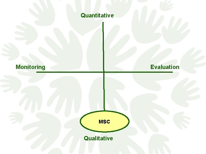 Quantitative Monitoring Evaluation MSC Qualitative 