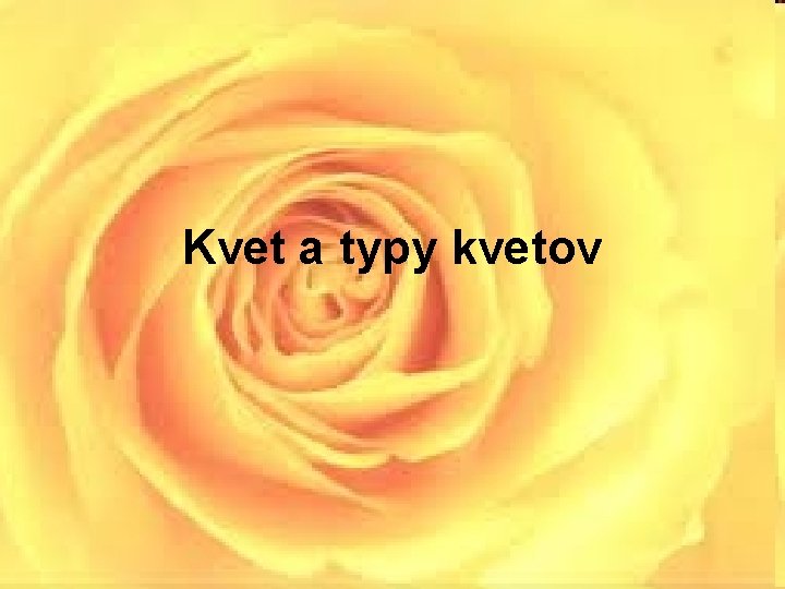 Kvet a typy kvetov 