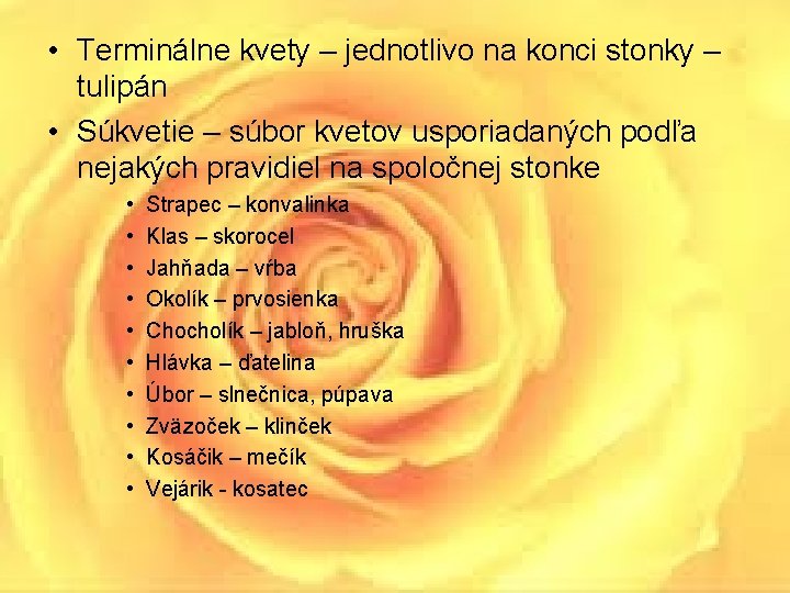  • Terminálne kvety – jednotlivo na konci stonky – tulipán • Súkvetie –