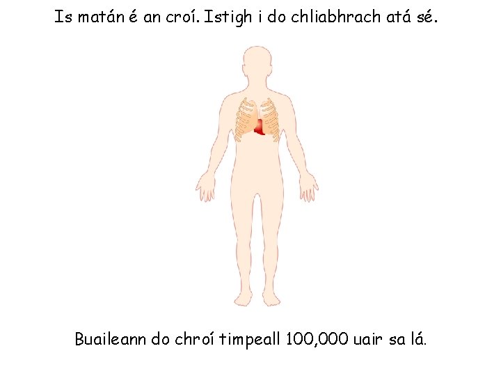 Is matán é an croí. Istigh i do chliabhrach atá sé. Buaileann do chroí