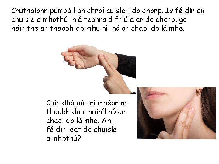 Cruthaíonn pumpáil an chroí cuisle i do chorp. Is féidir an chuisle a mhothú