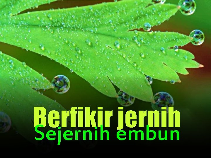 Berfikir jernih Sejernih embun 