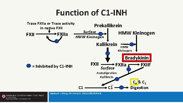 Function of C 1 -INH Trace FXIIa or Trace activity in native FXIIa Prekallikrein