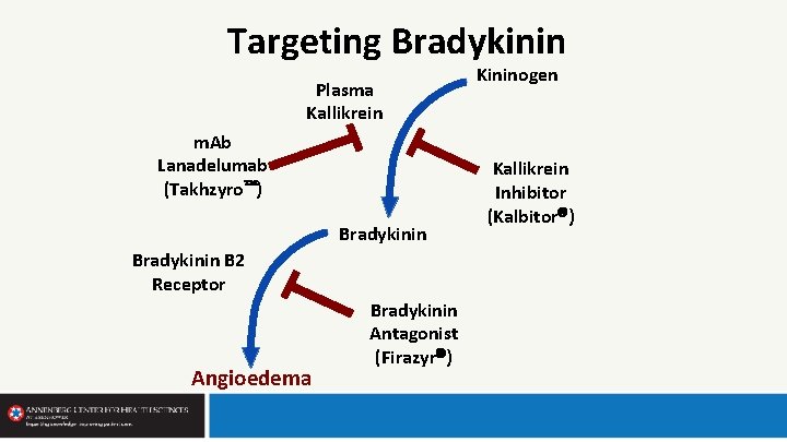 Targeting Bradykinin Plasma Kallikrein m. Ab Lanadelumab (Takhzyro ) Bradykinin B 2 Receptor Angioedema
