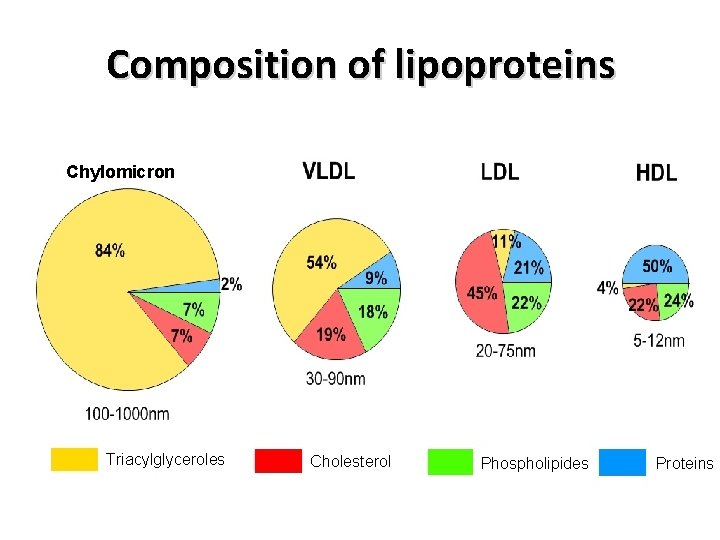 Composition of lipoproteins Chylomicron Triacylglyceroles Cholesterol Phospholipides Proteins 