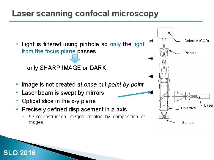 Laser scanning confocal microscopy Light is filtered using pinhole so only the light from