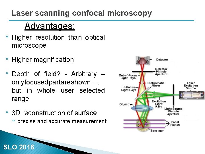 Laser scanning confocal microscopy Advantages: Higher resolution than optical microscope Higher magnification Depth of