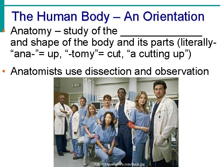 The Human Body – An Orientation • Anatomy – study of the _______ and