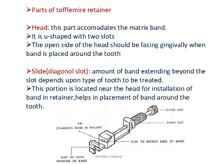 ØParts of tofflemire retainer ØHead: this part accomadates the matrix band. ØIt is u-shaped
