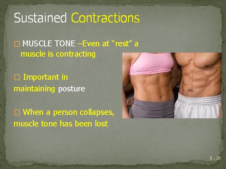 Sustained Contractions � MUSCLE TONE –Even at “rest” a muscle is contracting � Important
