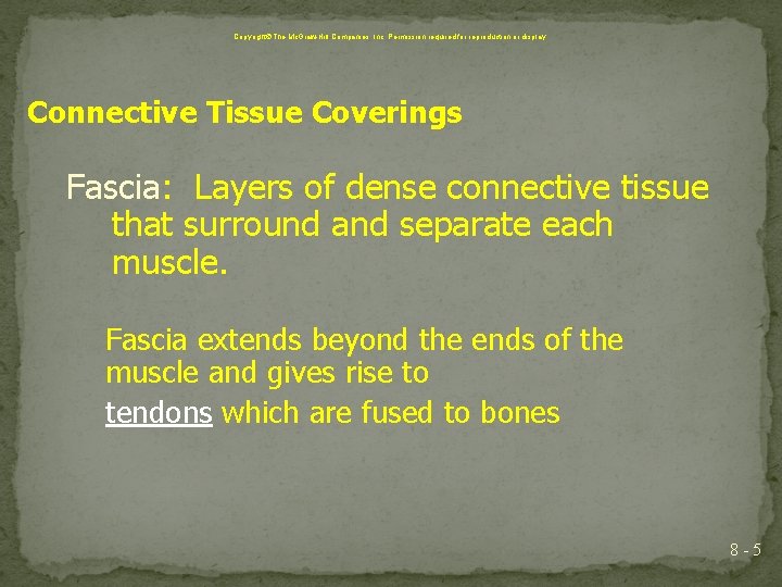 Copyright The Mc. Graw-Hill Companies, Inc. Permission required for reproduction or display. Connective Tissue