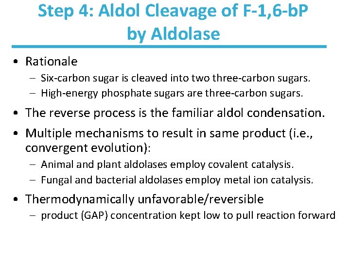 Step 4: Aldol Cleavage of F-1, 6 -b. P by Aldolase • Rationale –