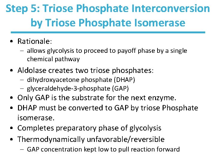Step 5: Triose Phosphate Interconversion by Triose Phosphate Isomerase • Rationale: – allows glycolysis