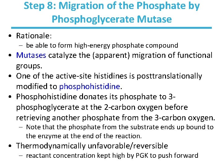 Step 8: Migration of the Phosphate by Phosphoglycerate Mutase • Rationale: – be able