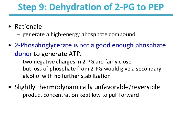 Step 9: Dehydration of 2 -PG to PEP • Rationale: – generate a high-energy
