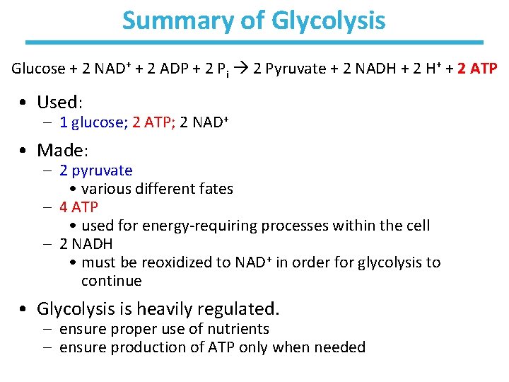 Summary of Glycolysis Glucose + 2 NAD+ + 2 ADP + 2 Pi 2