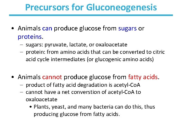 Precursors for Gluconeogenesis • Animals can produce glucose from sugars or proteins. – sugars: