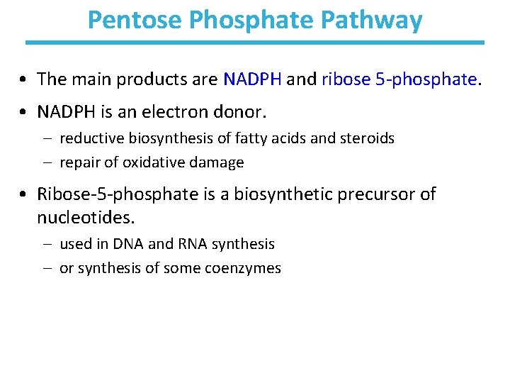 Pentose Phosphate Pathway • The main products are NADPH and ribose 5 -phosphate. •