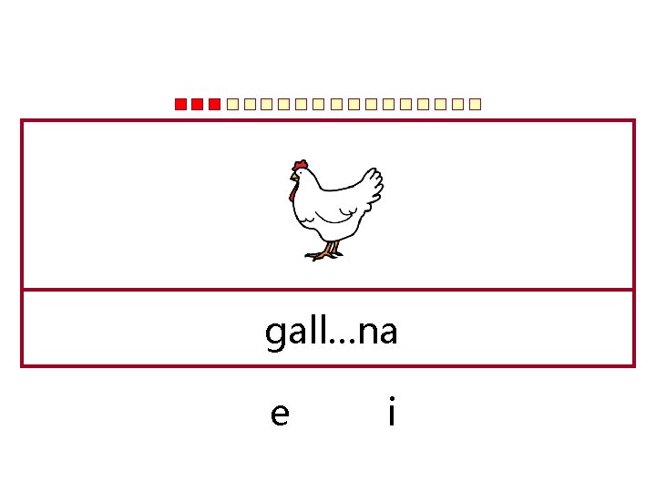 gall…na e i 