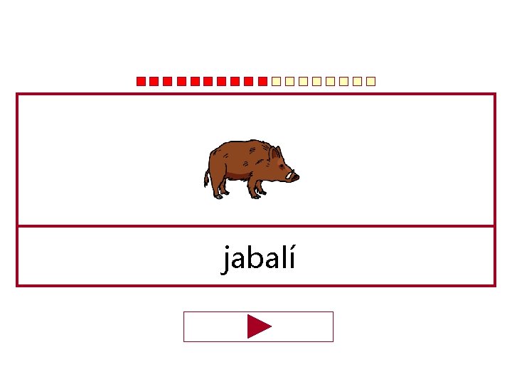 jabalí 