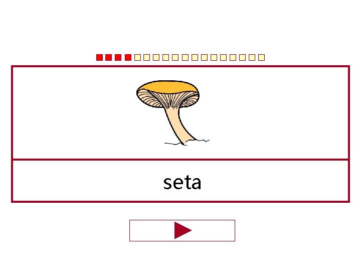 seta 