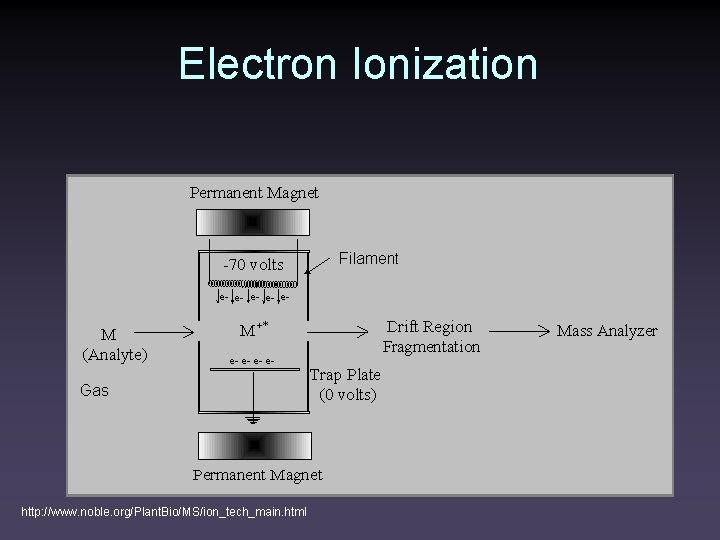 Electron Ionization http: //www. noble. org/Plant. Bio/MS/ion_tech_main. html 