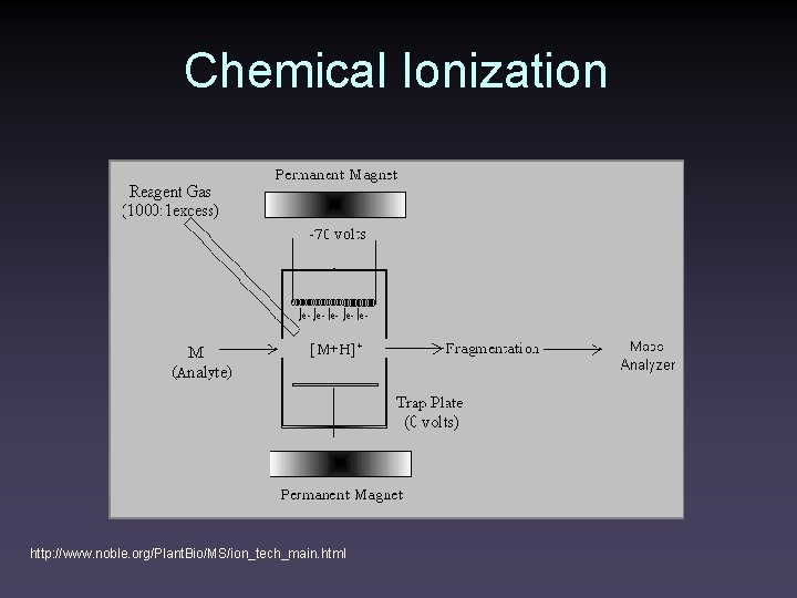 Chemical Ionization http: //www. noble. org/Plant. Bio/MS/ion_tech_main. html 
