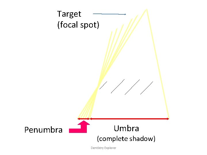 Target (focal spot) Penumbra Umbra (complete shadow) Dentistry Explorer 